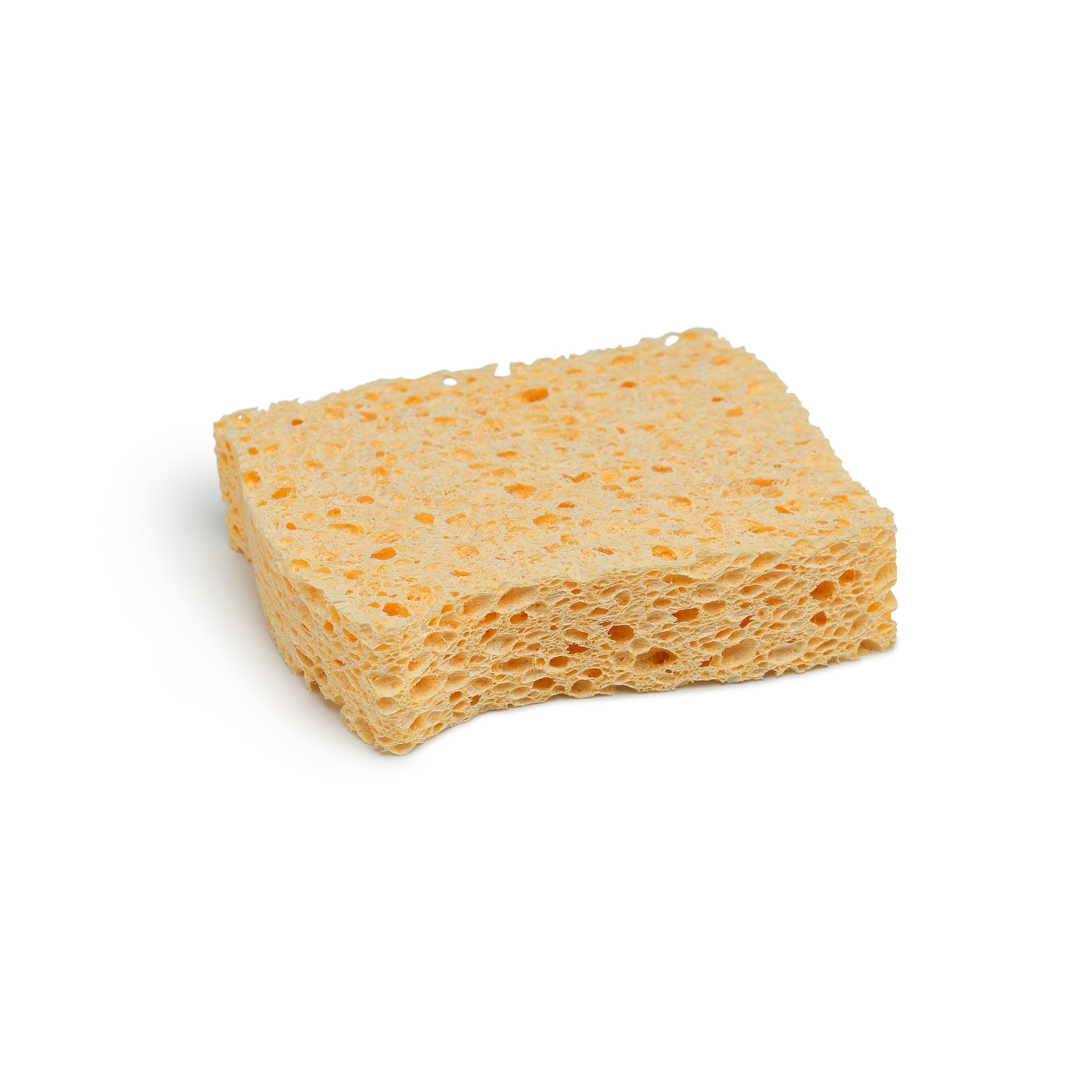 Compostable Sponges Set of 2
