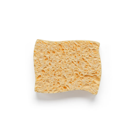Compostable Sponges (2 pack)