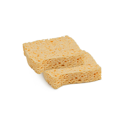 Compostable Sponges (2 pack)